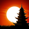 Relax Melodies Oriental Premium: A white noise ambience for sleep, meditation & yoga
